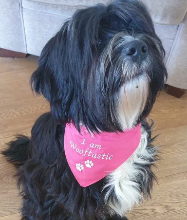 Small Bandanas - £ 6.50